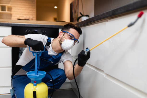 Best Cockroach Control Services  in Zephyrhills, FL
