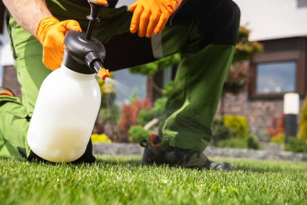 Best Rat Extermination Near Me  in Zephyrhills, FL