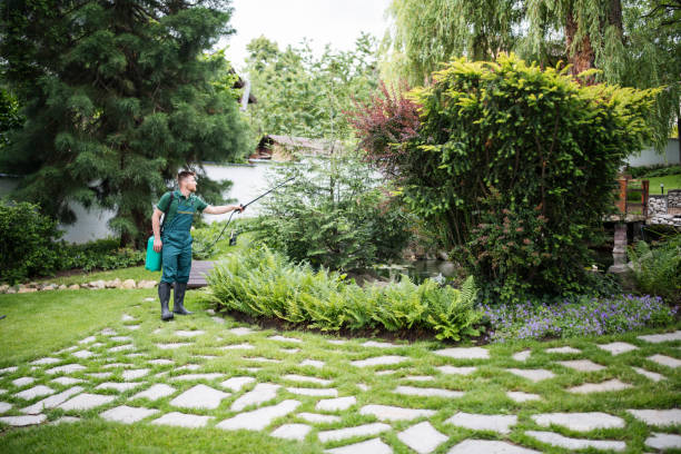 Best Affordable Pest Control Services  in Zephyrhills, FL