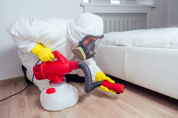 Best Pest Control Near Me  in Zephyrhills, FL