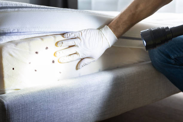 Best Exterminator Services  in Zephyrhills, FL