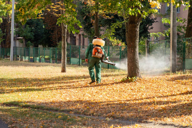 Reliable Zephyrhills, FL Pest Control Solutions
