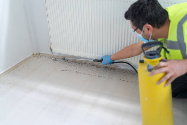 Best Best Pest Control Companies  in Zephyrhills, FL